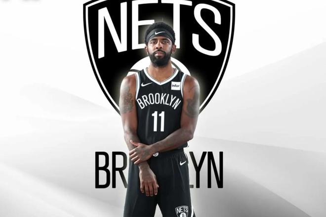 念的收获 念的收获