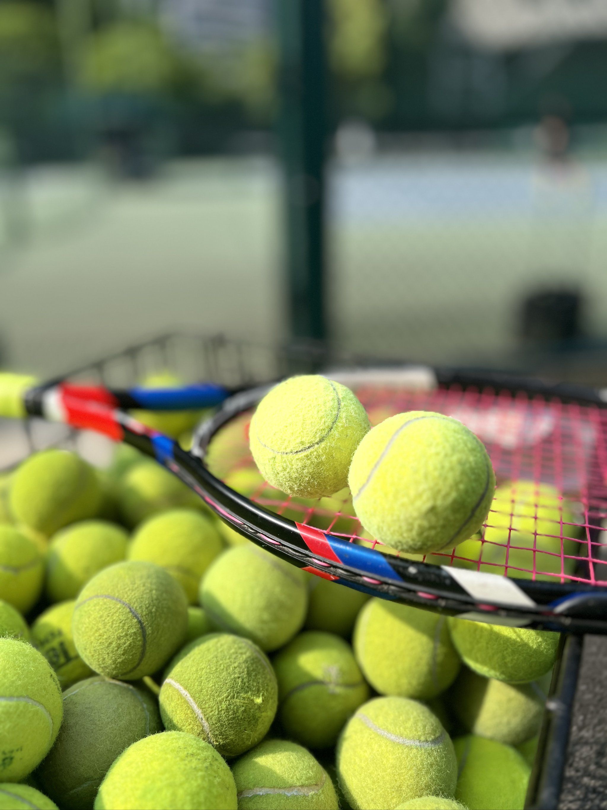 在冬夏两窗 在冬夏两窗